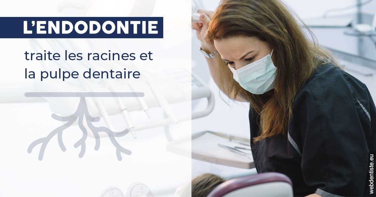 https://dr-grandemenge-agnes.chirurgiens-dentistes.fr/L'endodontie 1