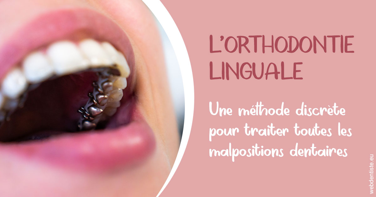 https://dr-grandemenge-agnes.chirurgiens-dentistes.fr/L'orthodontie linguale 2