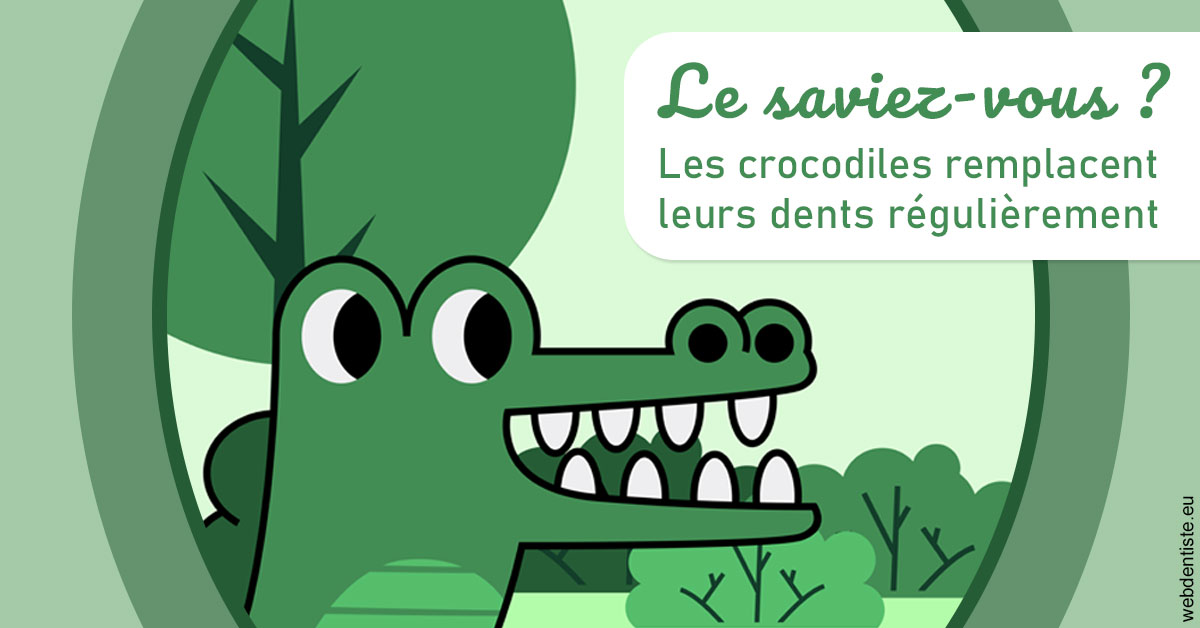 https://dr-grandemenge-agnes.chirurgiens-dentistes.fr/Crocodiles 2